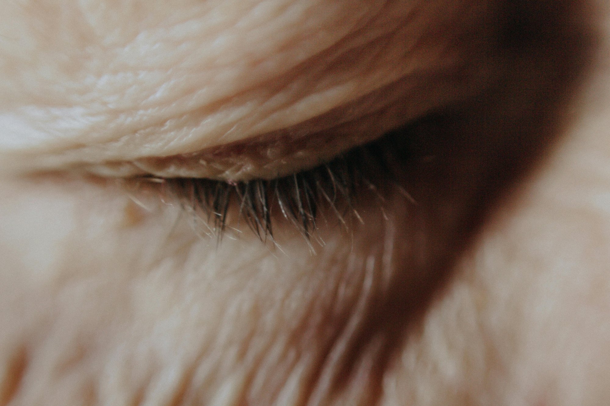 Augen geschlossen — spüren und nach innen lauschen