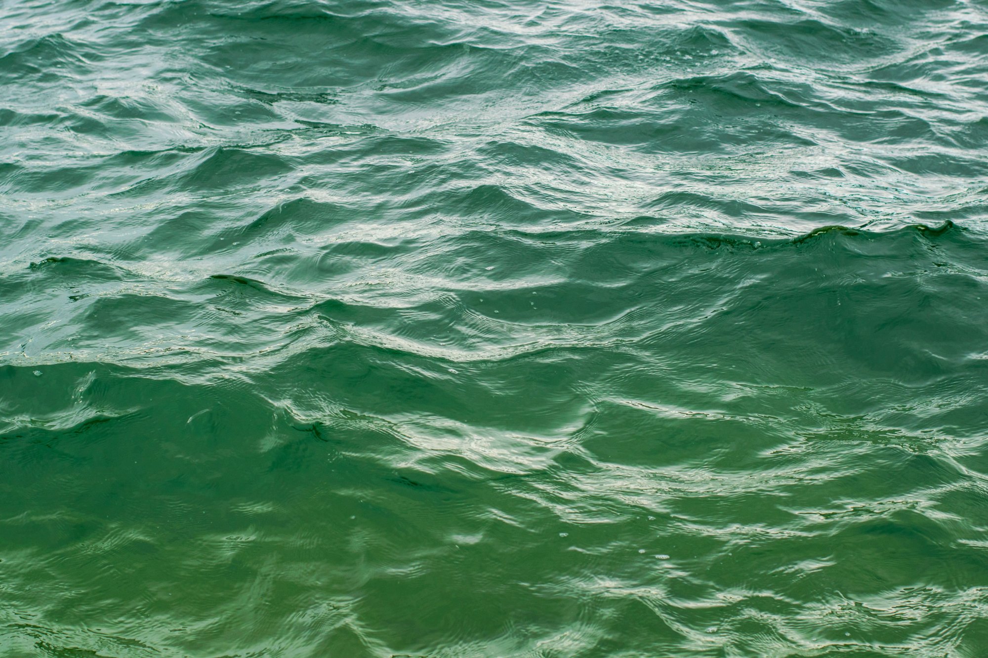 Wasseroberfläche im Licht — Ruhe, Weite und Raum zum Innehalten